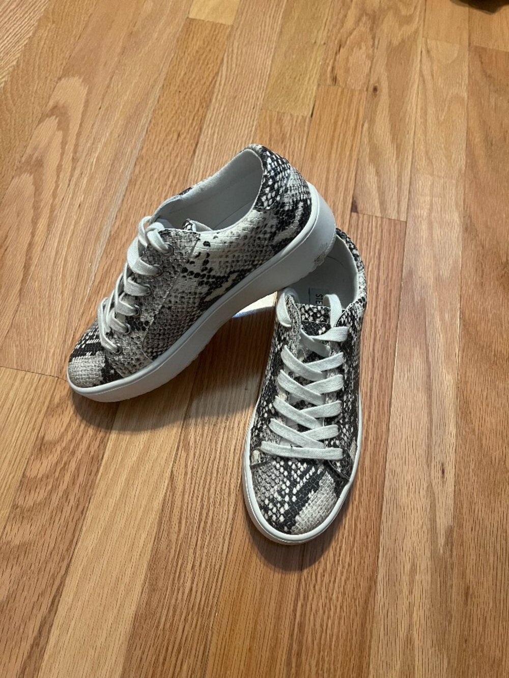 Steve Madden Platform Sneakers - Snake skin - Size 6
